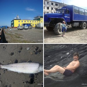 Тундра 2016