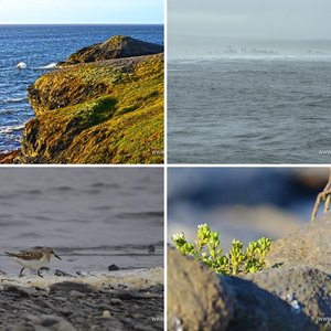 У самого Карского моря