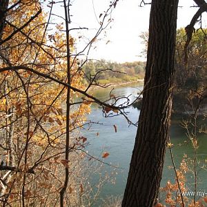 IMG_8502