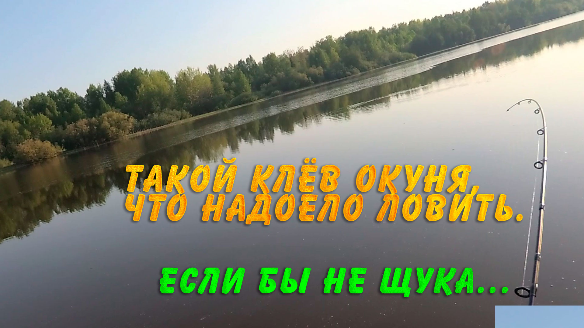 rutube.ru