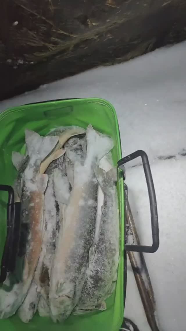 rutube.ru