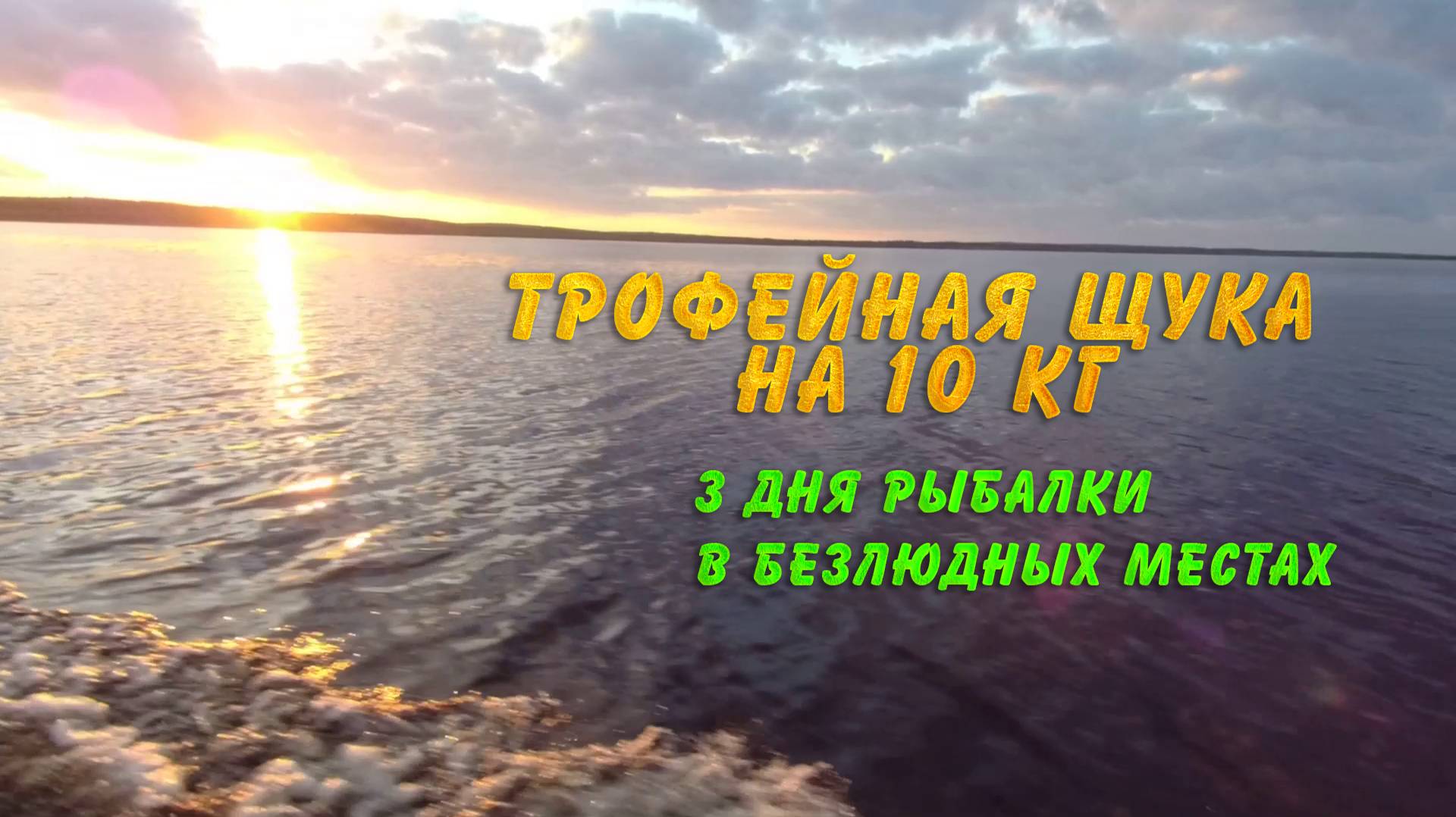rutube.ru