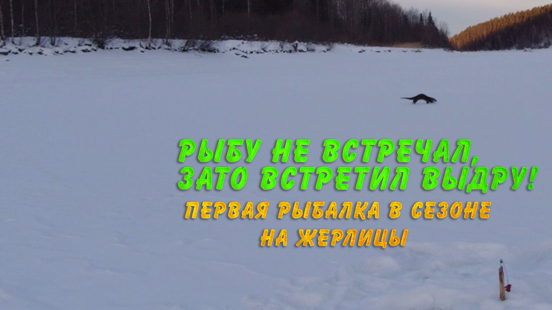 rutube.ru